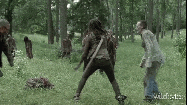 GIF-Michonne-The-Walking-Dead-optimized